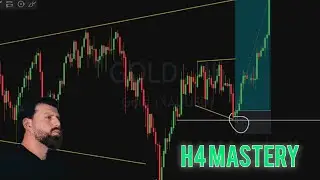My 1 year experience using H4 Mastary [FALCON STRATEGY]