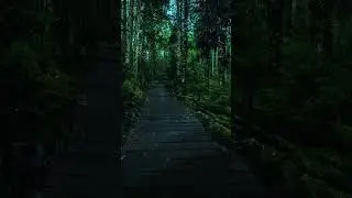 Fall Asleep Fast - Cures for Anxiety Disorders, Depression - Eliminates All Negative Energy