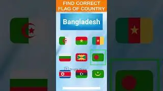 Flag Fiesta Challenge: Decode and Find Correct Country Flags!