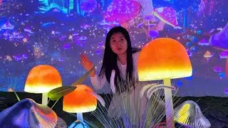 Changcady explores the magical land of Avatar.