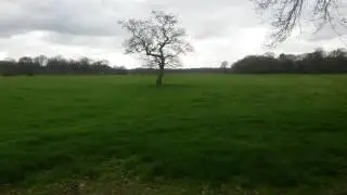 Landschapspijn; een mooi oud landschap verandert in een heel stil landschap. Een landschap zonder we