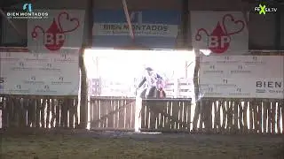 VII PRUEBA DE DOMA BIEN MONTADOS