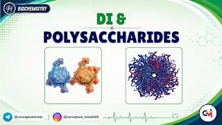 2. Disaccharides & Polysaccharides with Clinical Correlation / MBBS 1st Year
