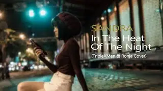 Sandra - In The Heat Of The Night feat. Ronja (TripleXMen & Ronja SynthWave Cover)