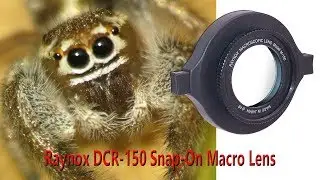 Amazing Macro With  Raynox DCR 150