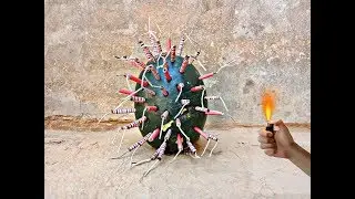 EXPERIMENT : FIRECRACKERS VS WATERMELON || watermelon tricks & Life hacks/AK Crazy Experiments
