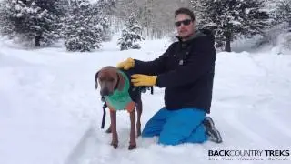For Dogs: The Great White North Winter Coat by Chilly Dogs [Review]