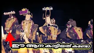 കൂടല്ലൂർ ഫെസ്റ്റ് kudallur fest 2024 Kerala elephant festival