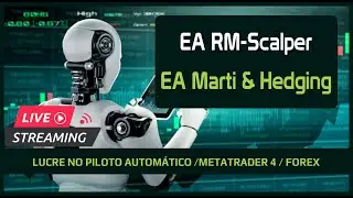 EA Marti & Hedging / EA RM-Scalper - 02/01/2025