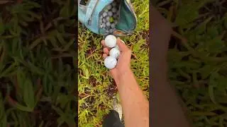 What if we run out of golf balls to find?