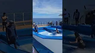 flowrider bikini Wipeout ##flowrider #royalcaribbean #perfectday #travel #travelvlog #cruise