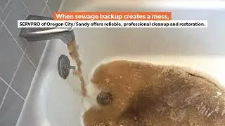 SERVPRO of Oregon City/Sandy: Commercial Water Damage Recovery
