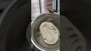 Chicken Roll Recipe 