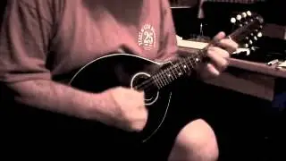 1924 gibson snakehead
