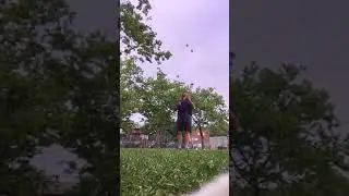 5 Ball shower 54 Catches
