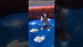Assista o v&iacute;deo completo aqui [ 
