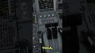 How to Make Real Callouts on the A320 (MSFS24)