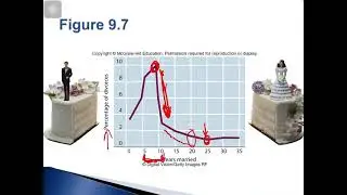 Adolescent Development: Chapter 9 - Peers (Part 3)