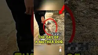 THE CRY OF A MOTHER DOG #shorts
