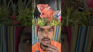 并ी कण ने िकया पूतना का वध झांकी ]। जयी कणग ]| #putnavadh #shree #shreekrishna #vrindavan