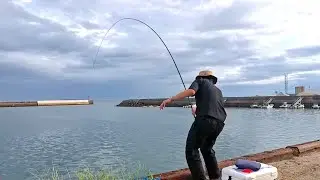 「のべ竿一本」で色々な魚が釣れる！【のべ竿クラブ】
