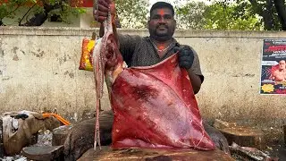 🦑 SQUID FISH | KASIMEDU GOVIND AMAZING CUTTING SKILLS #kasimedufishcutting