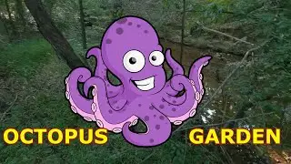 Have you filled your Jasmer Grid? Not under the sea but visited the Octopus Garden!