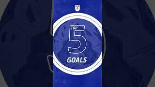 🔝✋⚽️ Top 5 #skybetchampionship goals this weekend! #efl