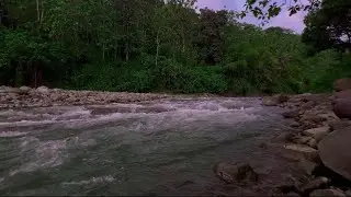 Slow River Sounds with Subtle Nature Elements for Mental Restoration, Stress Relief and Deep Sleep