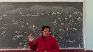 Classification of T. H. Whittaker (1969) 