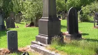 Balmoral Cemetery Break-In For Isabella Tod 1836-1896