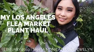 Los Angeles Flea Market Plant Haul | February 2019 | ILOVEJEWELYN