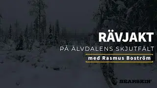 rävjakt vid Älvdalens skjutfält.