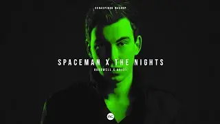 Spaceman / The Nights (Mashup)