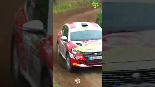 Peugeot 208 Rally 4 | Rally Indonesia #rallyindonesia #motorsport #rally #rallyracing #rallying