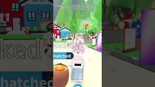 Hatching CRACKED EGGS in adopt me! #adoptme #fypシ゚viral #pets #roblox