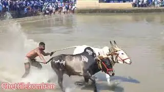 ഒന്നാം റൗണ്ട് കരേക്കാട് കാളപൂട്ട്||  @chettilekomban ||kallapoott ||bullrace cattle race||malayalam