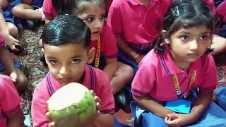 Happy  World Coconut 🥥  Day