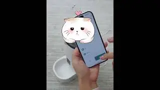 Smart WiFi Cat Feeder with App Control | Automatic Pet Food Dispenser | CashyMart