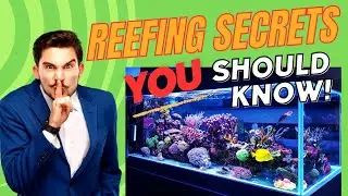 Reefer Matt's Reef Tank Secrets!