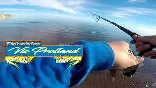 Surf Casters Mx-Mahi Macho & Hembra Con Gt Ice Cream