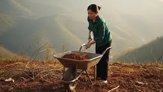 Beautiful Single Mother&rsquo;s Hard Life in Vietnamese Countryside &ndash; A Story of Strength and Love