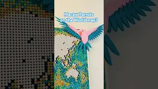 LEGO 31211-Macaw Parrots. POV Lego build.  #legobuild