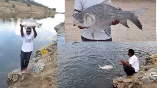 amazing big katla hunting (mujeeb shikari) BOCHA
