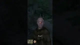 Jauffre is hangry! / Oblivion /  #oblivion #gaming #elderscrolls