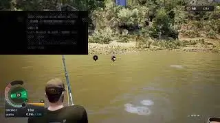 Euro fishing