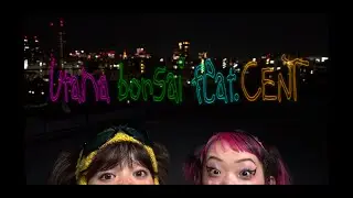 詩羽「bonsai feat.CENT」
