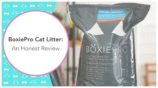 BoxiePro Cat Litter: An Honest Review