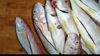 Goat fish cleaning and stomach removing #asmr #trending #food #shortsvideo#fish #fishing#foryou