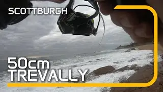 Scottburgh - 50cm Trevally Full Length video